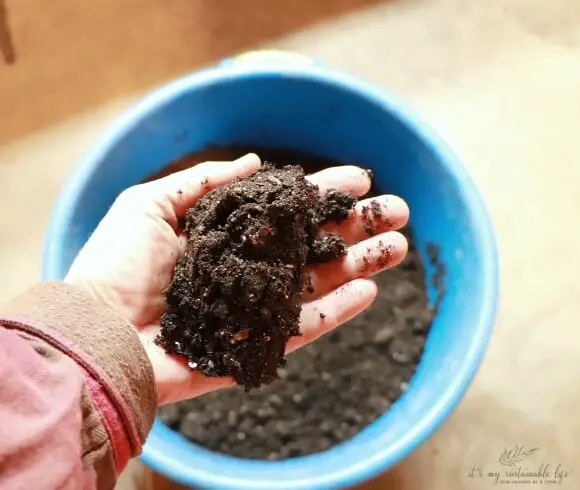 Seed Starting 101 hand holding moistened seed planting soil to show consistency