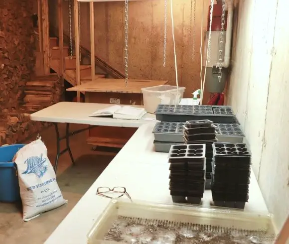 Seed Starting 101 picture showing a diy seed starting station in the basement