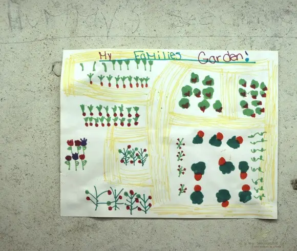 Seed Starting 101 childs artwork showing families garden layout