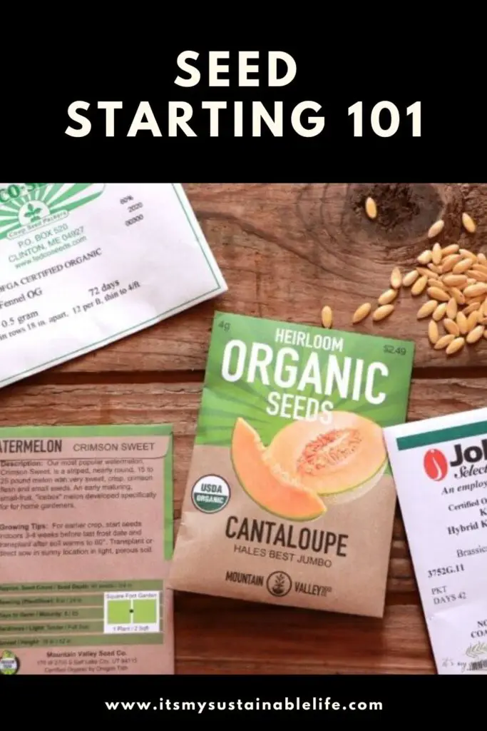 Seed Starting 101 - Starting Seeds Indoors pin for Pinterest