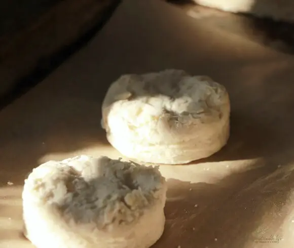 Easy Homemade Biscuits {The No Fuss Way} cut out dough for biscuits ready to bake