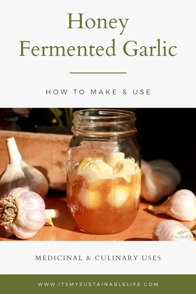 Honey Fermented Garlic pin for Pinterest