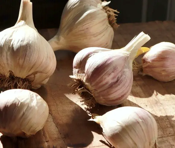 Honey Fermented Garlic closeup image of garlic cloves on wooden board