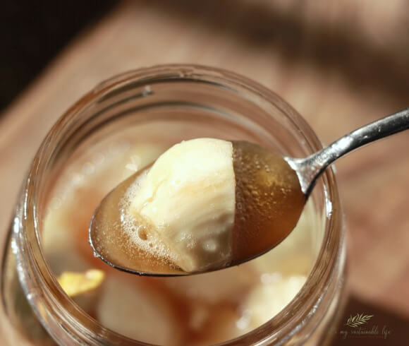 Honey Fermented Garlic image of garlic clove on spoon with honey