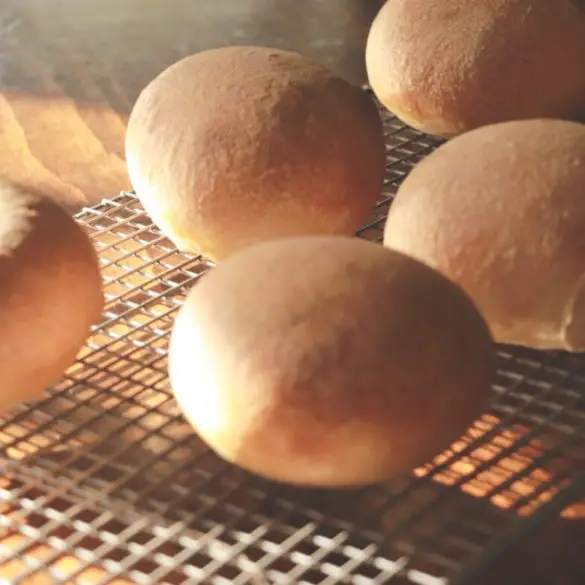 Homemade Hamburger Buns display showing cooked buns golden brown in shadowed light