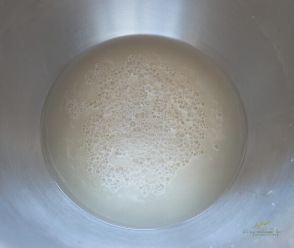 Homemade Hamburger Buns image of yeast proofing in stainless steel bowl