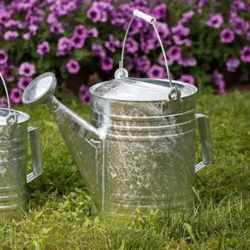 Useful Gardening Tools old fashioned galvanized watering can