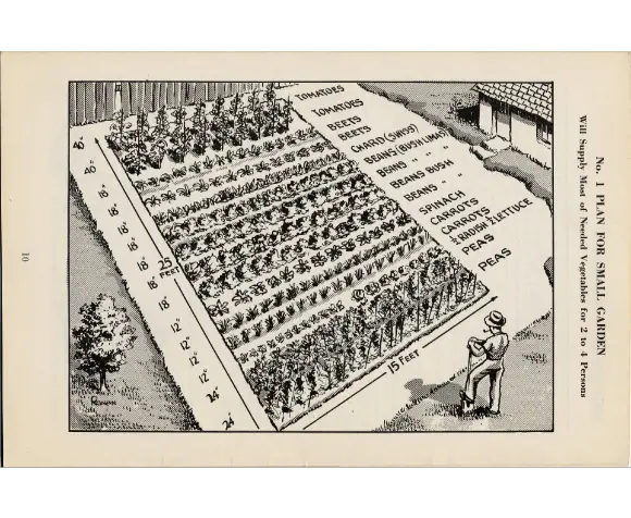 Victory Garden Resurgence historical garden layout