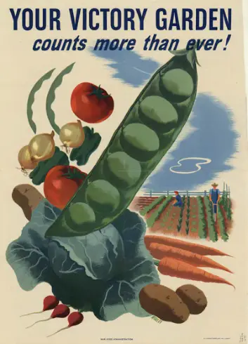 Victory Garden Resurgence antique poster for victory garden propoganda