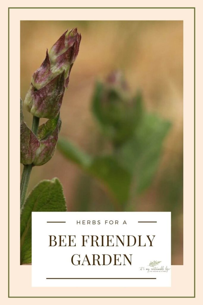 Bee Friendly Herbs pin for Pinterest
