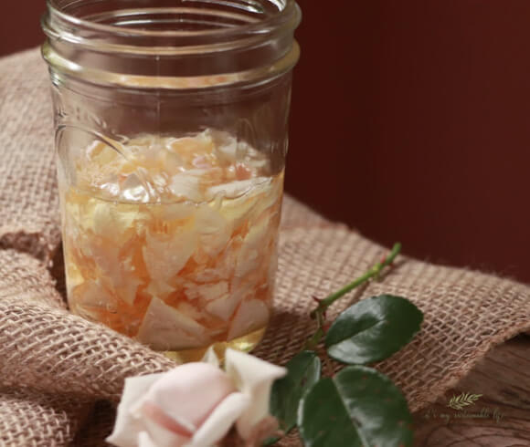 DIY Rose Oil display of rose petals covered in oil in mason jar alongside a rosebud on burlap