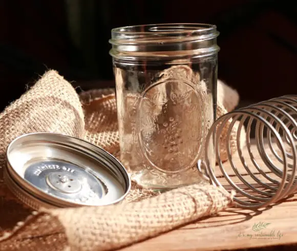 Lacto Fermented Dilly Beans empty mason jar and Trellis fermenting air lock lids