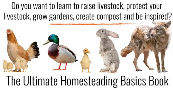 The Ultimate Homesteading Basics Book Review image of farm animals in a row with book title