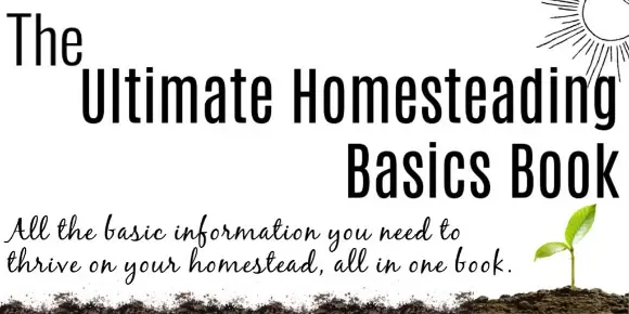 The Ultimate Homesteading Basics Book Review book title with small sprout growing in bottom right corner