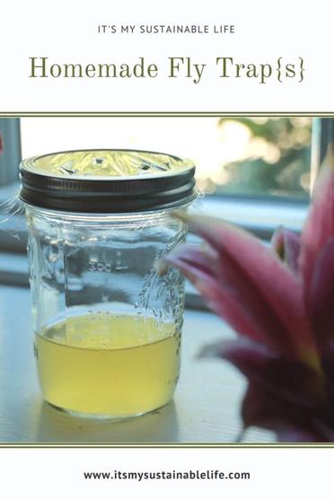 DIY Natural Fruit Fly Trap + Essential Oil Spray - Living Well Mom, Recipe