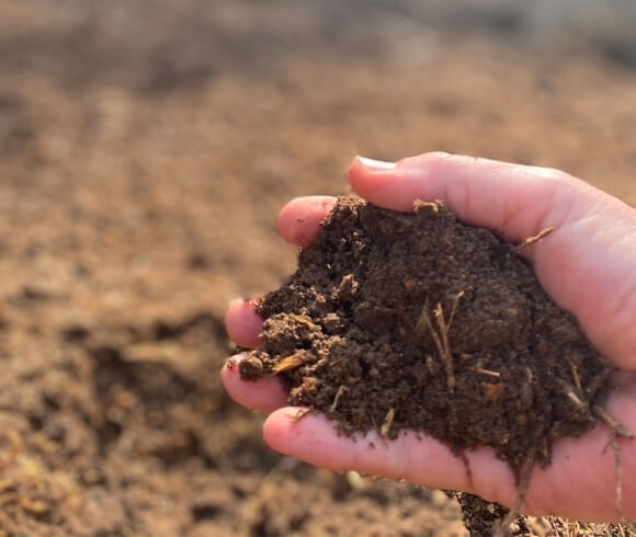 Fall Garden Chores image of hand holding soil that has been amended with compost