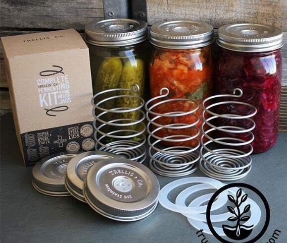 Gifts For Homesteaders image of fermenting kit by Trellis