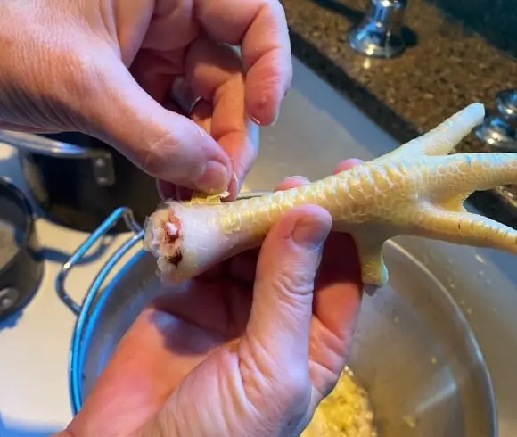 Preparing And Using Chicken Feet closeup image of peeling the skin off a chicken foot near the first knuckle