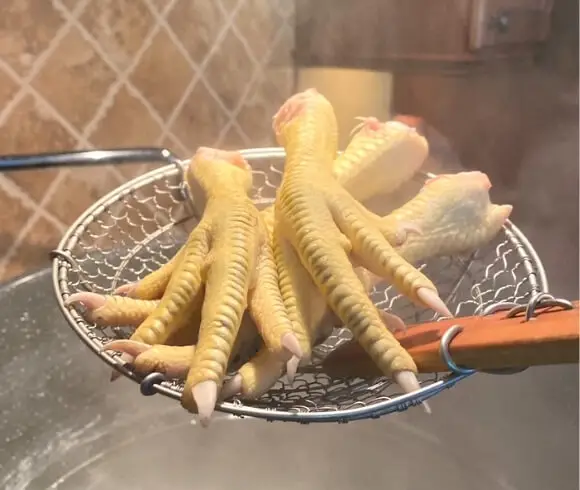 Preparing And Using Chicken Feet a kitchen spider holding 4 chicken feet over a simmering pot of water