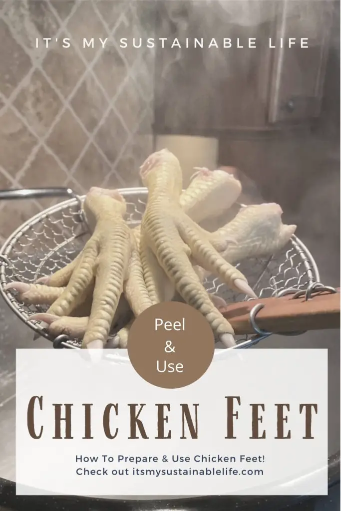 Preparing & Using Chicken Feet image for Pinterest showing blanched chicken feet in spider