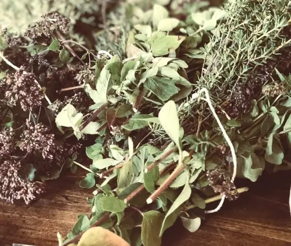 Herbal Tinctures {Folkoric & Measurement Method} image showing dried herb bouquets tied with string