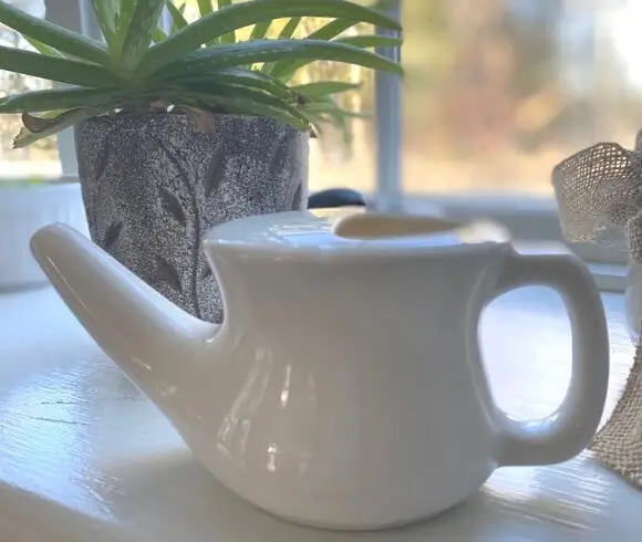 How To Boost Your Immune System Naturally This Winter image of a white neti pot resting in front of an aloe vera plant