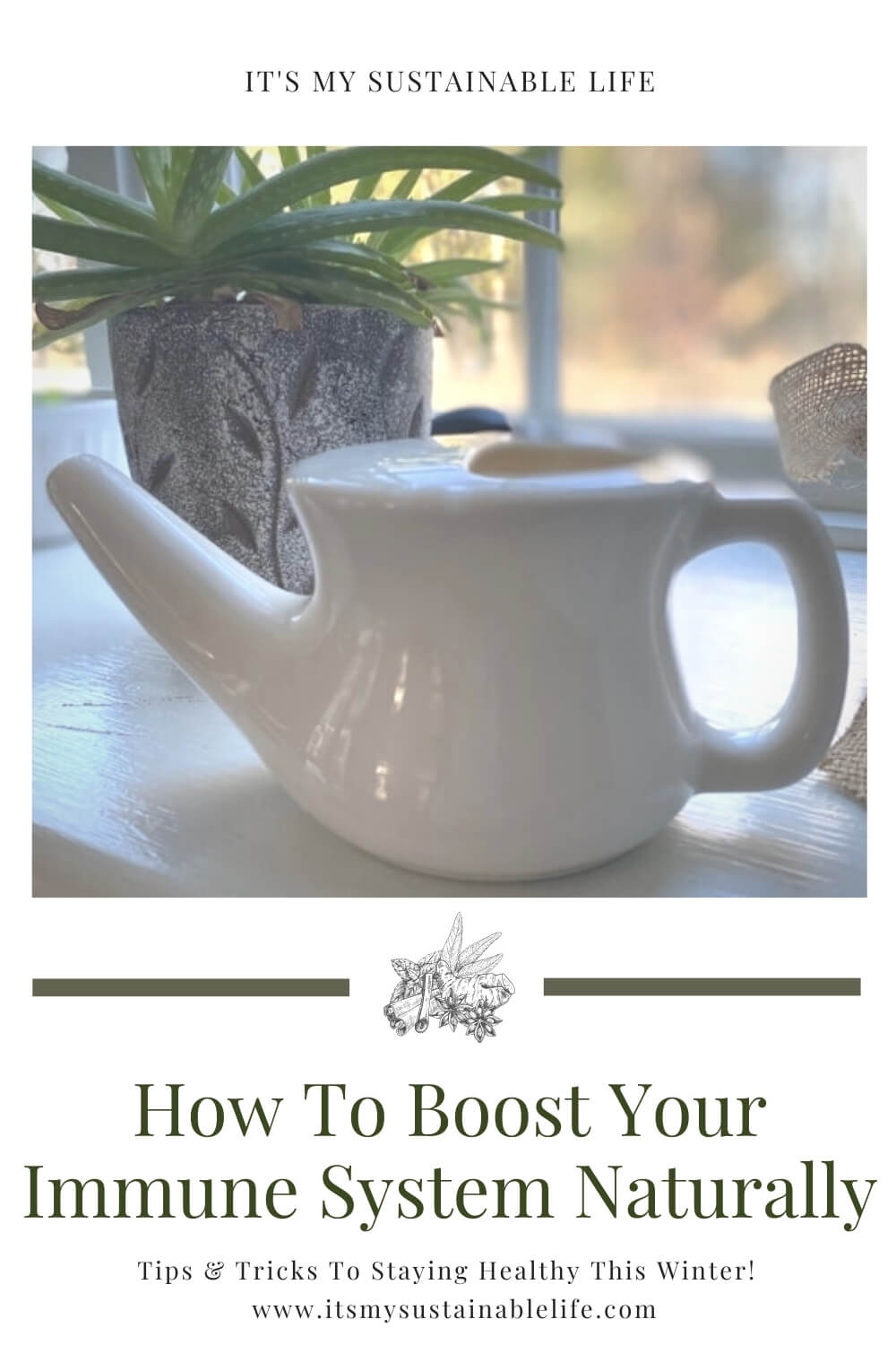 How To Boost Your Immune System Naturally This Winter - It's My ...