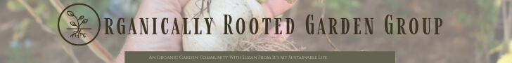 Organically Rooted Garden Group 728x90 banner image showing hand holding garlic with roots and name of facebook group