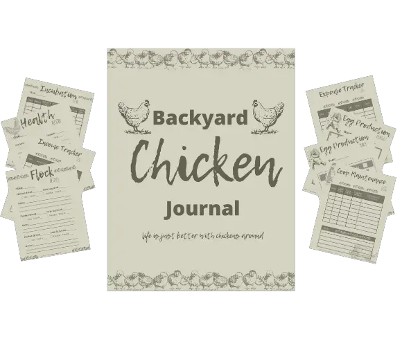 Backyard Chicken Journal image showing printable pages for creating an organizational binder