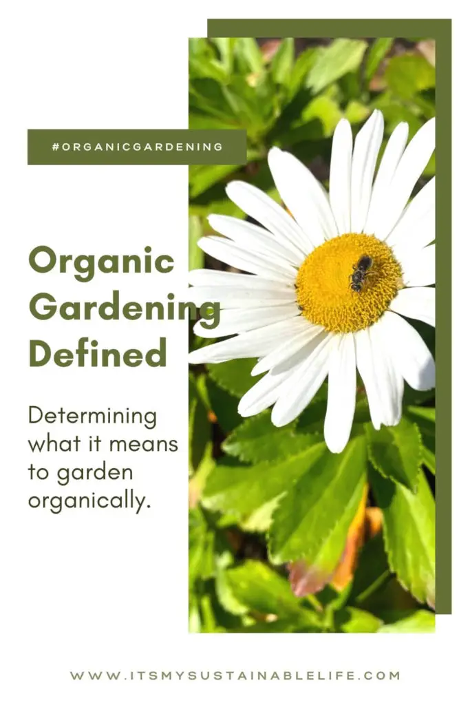 What Is Organic Gardening pin made for Pinterest showing image of daisy with pollinator on the bright yellow center