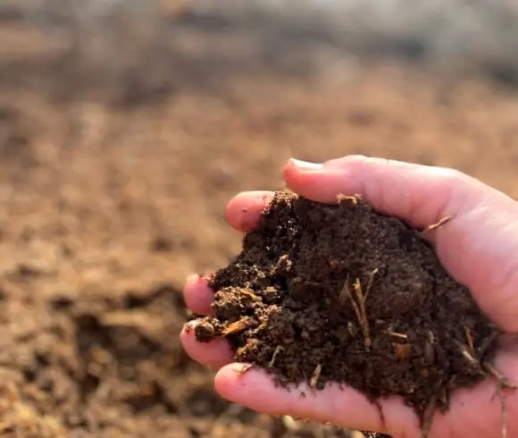 What Is Organic Gardening image showing hand holding organic soil with blurred background