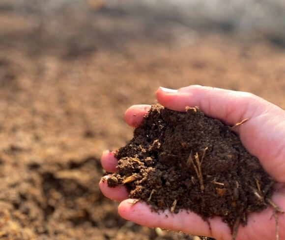 What Is Organic Gardening image showing hand holding organic soil with blurred background