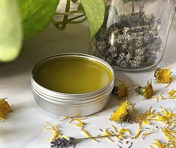 Healing DIY Gardener's Hand And Skin Salve image showing salve in tin with herbs surrounding tin on white surface