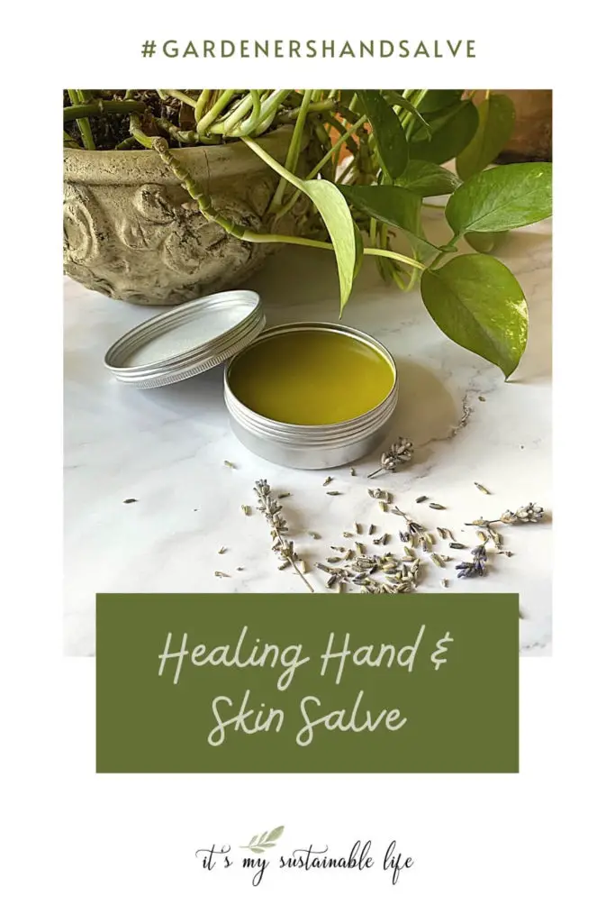 Healing DIY Gardener's Hand And Skin Salve pin made for pinterest showing open tin of salve amongst dried herbs on white board