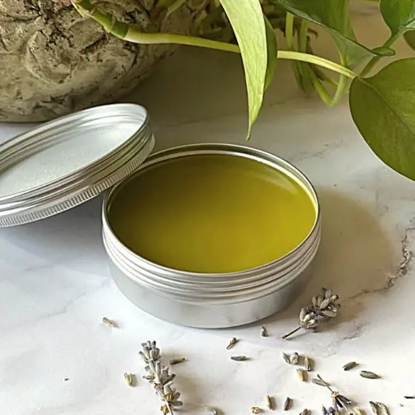 Healing DIY Gardener's Hand And Skin Salve