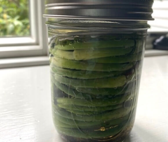 Fermenting Garlic Scapes image showing scapes in mason jar with fermenting lid placed on it