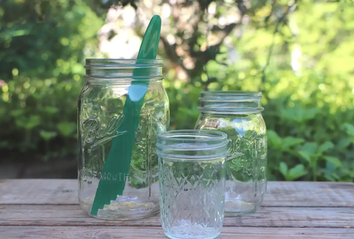 Extra Large 12-Inch Canning Jar With Chicken Wire