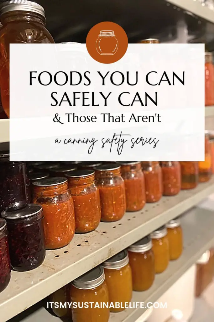 Foods That Are Safe To Can & Those That Aren't {Canning Safety Series} pin made for Pinterest Showing jars of canned goods on metal shelves with center white block listing the title and website