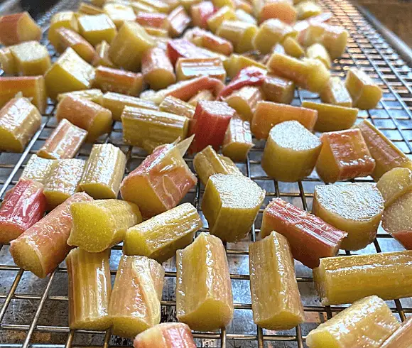 How To Freeze Rhubarb image showing cut up pieces of rhubarb placed on a cooling rack