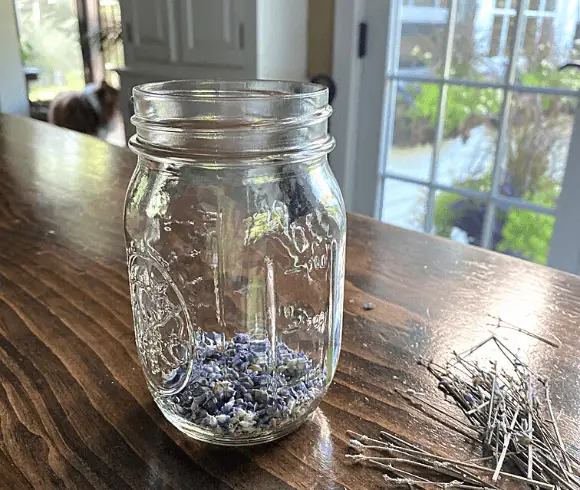 How To Make Lavender Oil {Plus Its Benefits & Uses} image showing side view of mason jar setting on wooden table with dried lavender buds in the bottom of the jar and lavender stems beside the jar