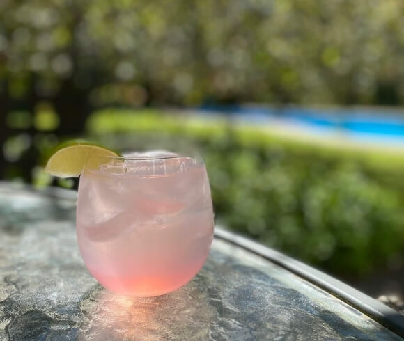 Rhubarb Juice Concentrate image showing glass of rhubarb juice with soda water, ice, and a wedge of lime on the rim of the glass