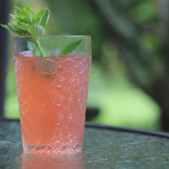 Rhubarb Juice Concentrate image showing antique cut glass setting on glass top, filled with blush pink rhubarb juice concentrate with a sprig of fresh mint