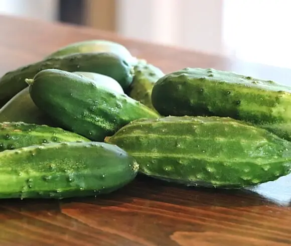 No Cook Refrigerator Pickles image showing a bunch of fresh, whole cucumbers setting on wooden counter