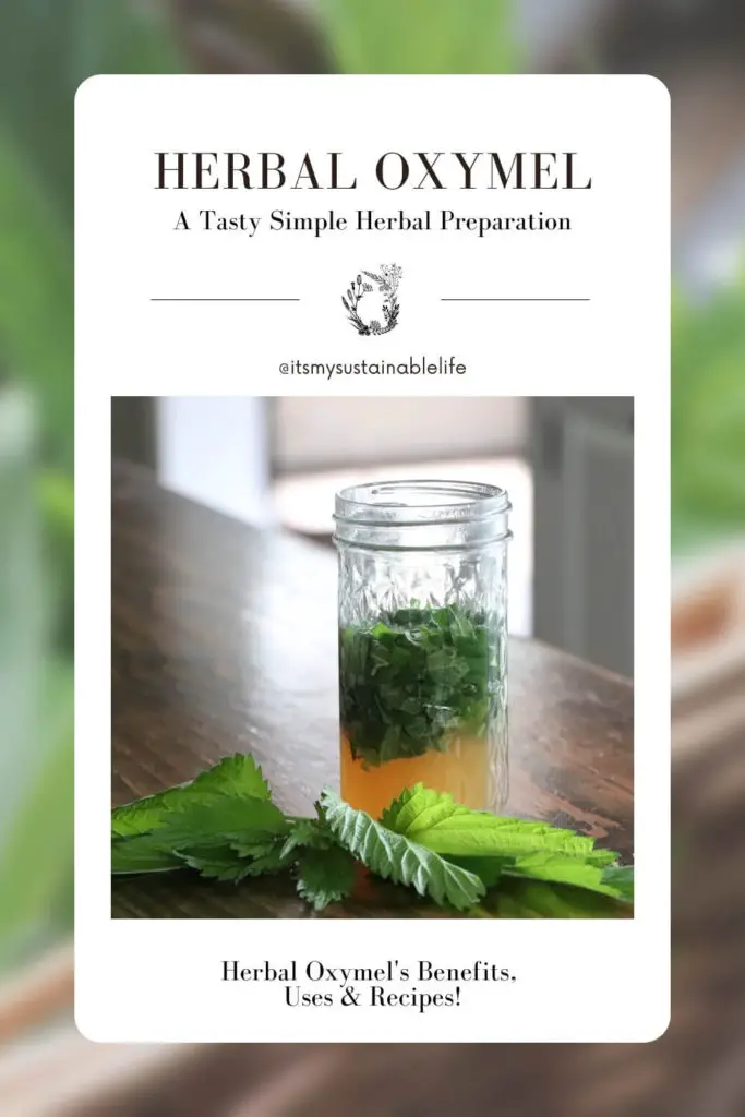 Herbal Oxymel {Benefits, Uses, And Recipes} pin made for Pinterest showing fresh cut up nettle, honey, and vinegar in mason jar resting on wooden board with fresh green sprig of nettle laying in front of the jar