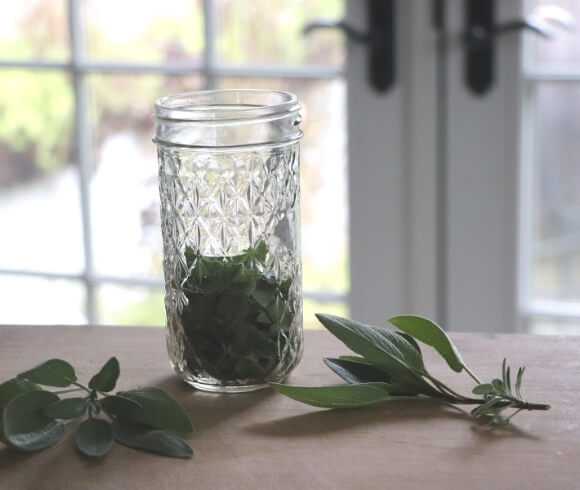 Herbal Oxymel {Benefits, Uses, And Recipes} image showing fresh sage leaves in mason jar resting on a wooden board with several sage sprigs around the jar