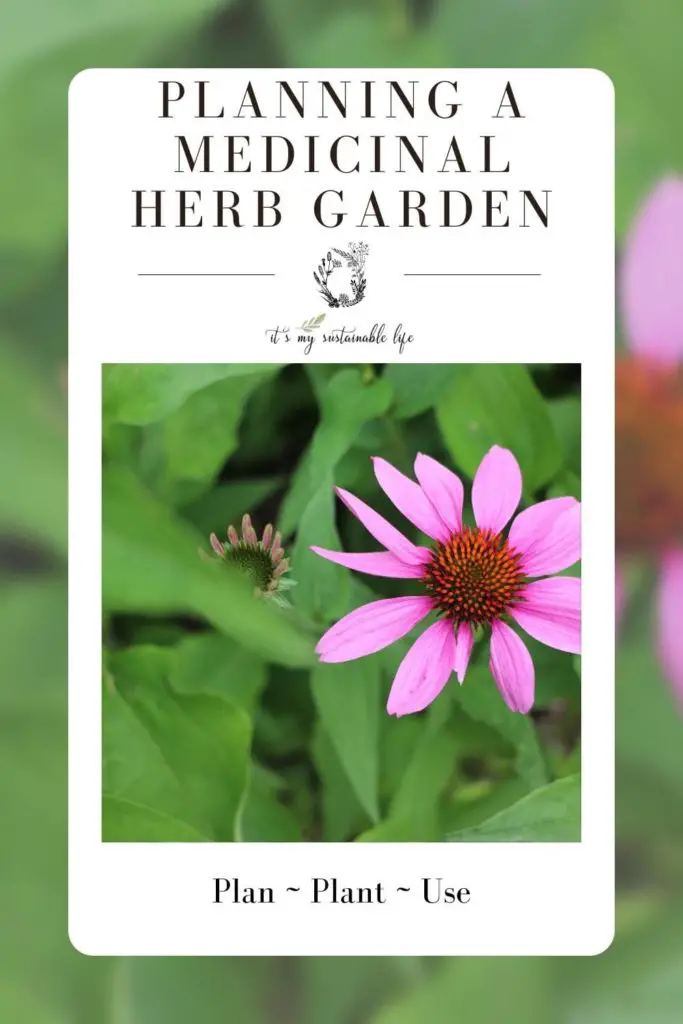 Planning A Medicinal Herb Garden pin made for Pinterest showing featured image of coneflower in bloom along with article information