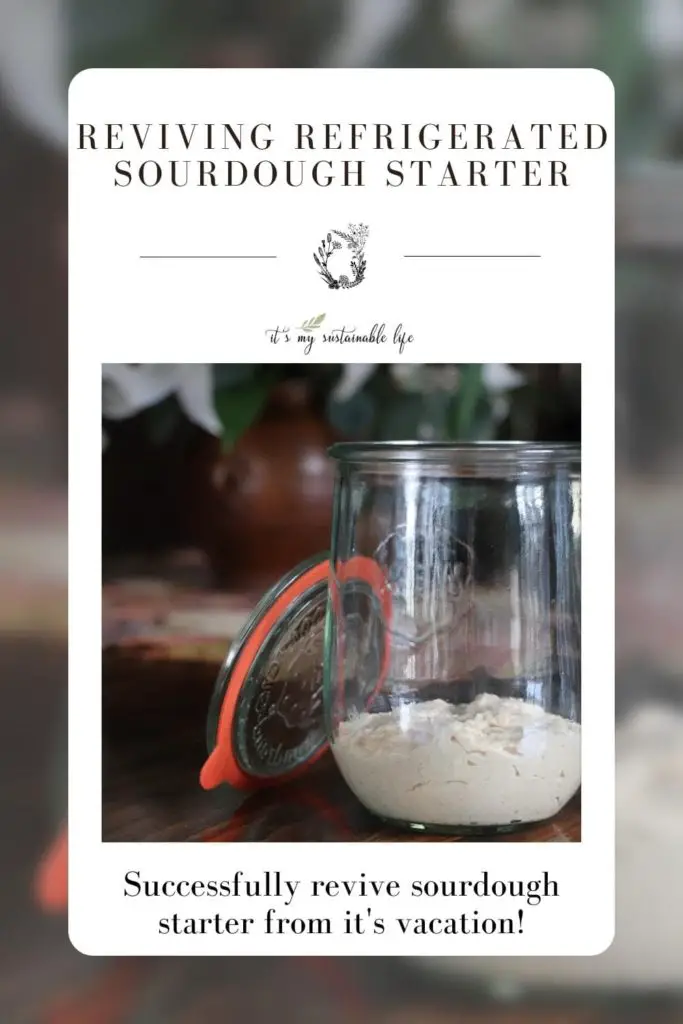 Reviving Refrigerated Sourdough Starter pin made for Pinterest showing featured image of revived sourdough starter in a Weck mason jar resting on wooden table with a blurred background