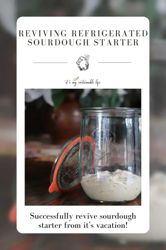 Reviving sourdough starter discount