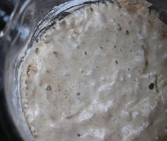 Reviving Refrigerated Sourdough Starter top view of revived sourdough starter displaying bubbles that should be seen when the sourdough starter is properly revived