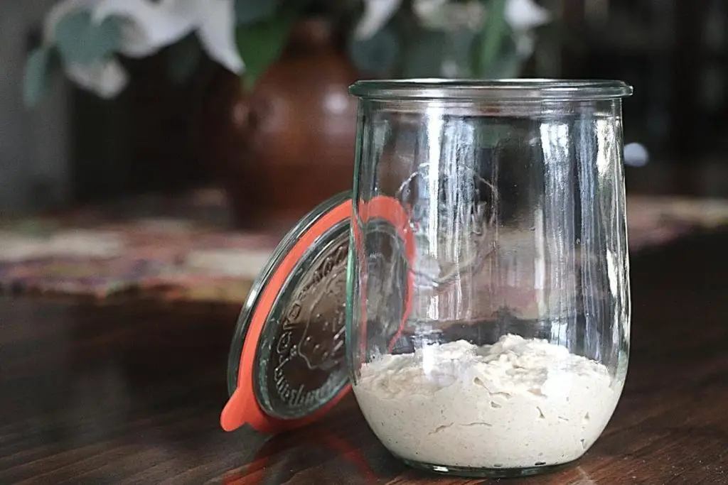 Reviving Refrigerated Sourdough Starter featured image showing large Wick brand glass jar with glass lid and rubber seal leaning on the jar with blurred background